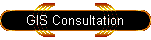GIS Consultation