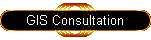 GIS Consultation