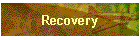 Recovery