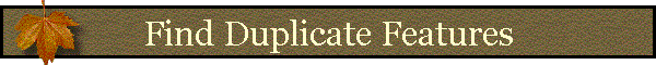 Find Duplicate Features