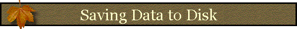 Saving Data to Disk