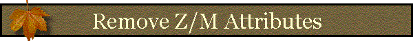 Remove Z/M Attributes