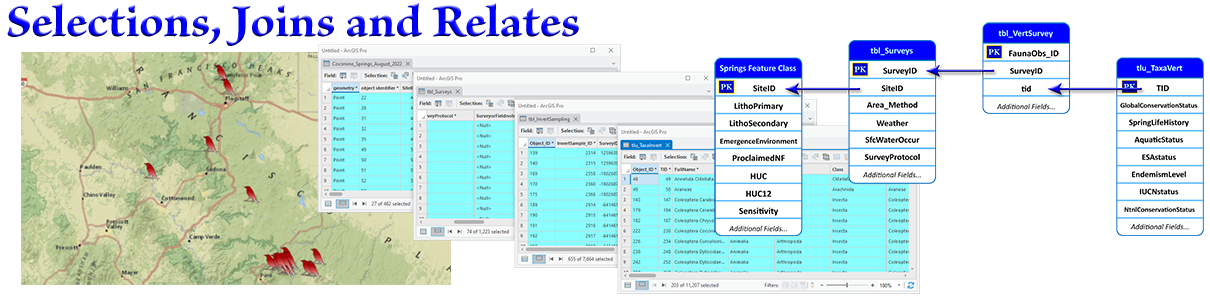 Module 2: Selections, Joins and Relates