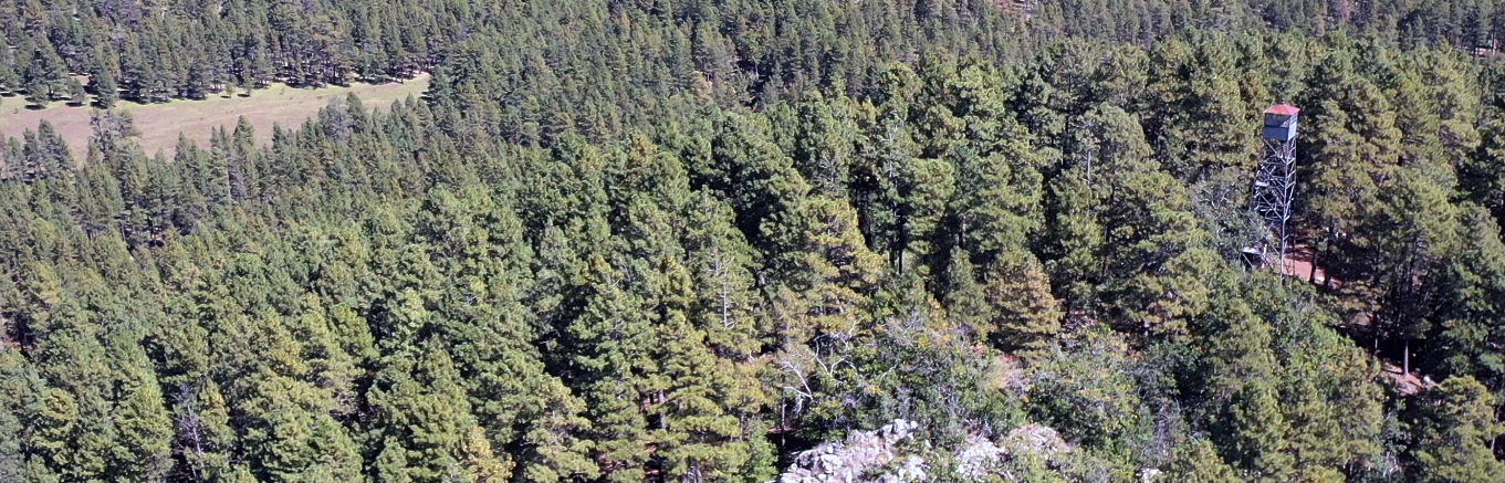 Lee Butte fire lookout tower above the ponderosa pines, southeast of Munds Park, Arizona