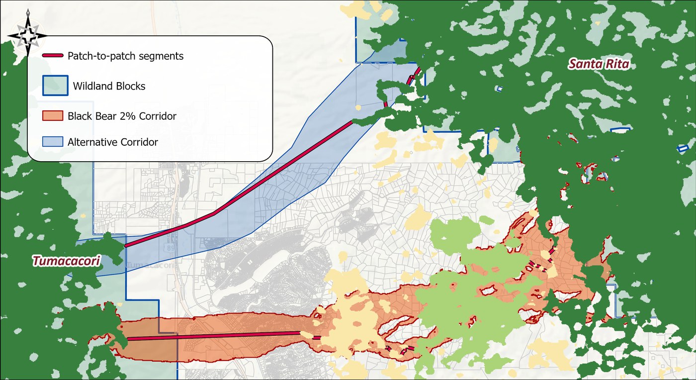 Patch-to-patch segments in red through both corridors over the patch map: through the alternative, one long straight segment from the Tumacacori block across the valley to the first patch near the Santa Rita block, then short hops at the northeast end; through the black bear corridor, a long first segment along its western arm and then many short hops between the patches to the east