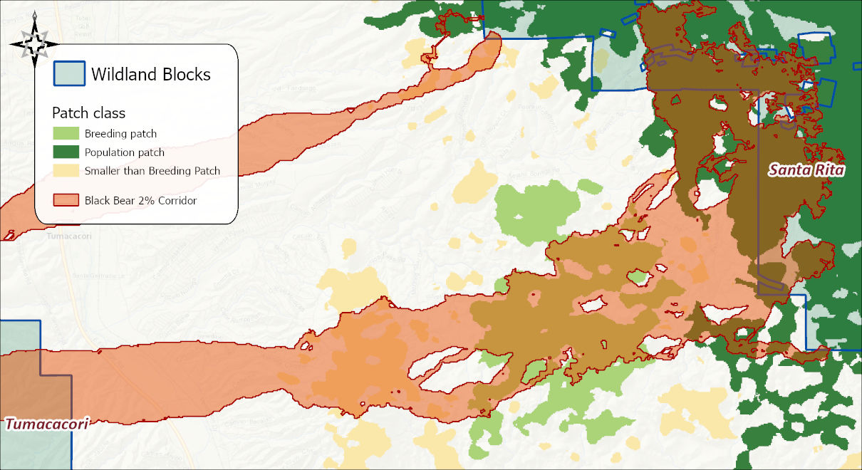 The 2 percent black bear corridor in orange over the classified patch map: dark green population patches in both wildland blocks, light green breeding patches and pale yellow too-small patches scattered between them