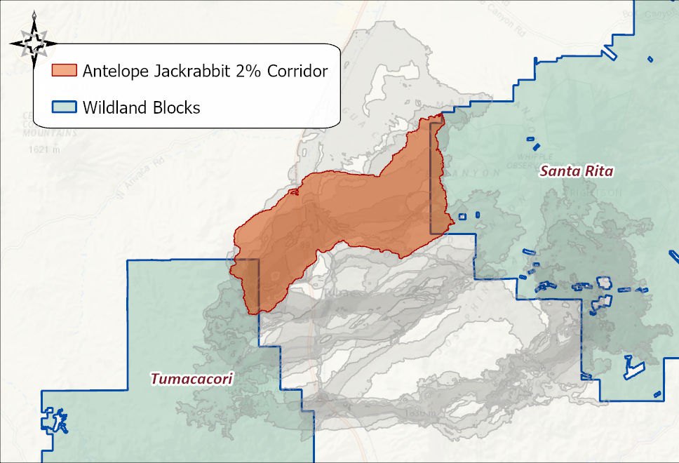 The Antelope Jackrabbit 2 percent corridor in orange between the Tumacacori and Santa Rita wildland blocks, with the other eleven species' corridors in gray behind it