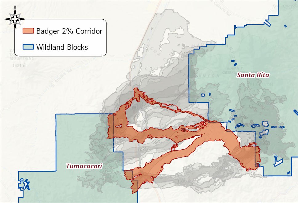 The Badger 2 percent corridor in orange between the Tumacacori and Santa Rita wildland blocks, with the other eleven species' corridors in gray behind it