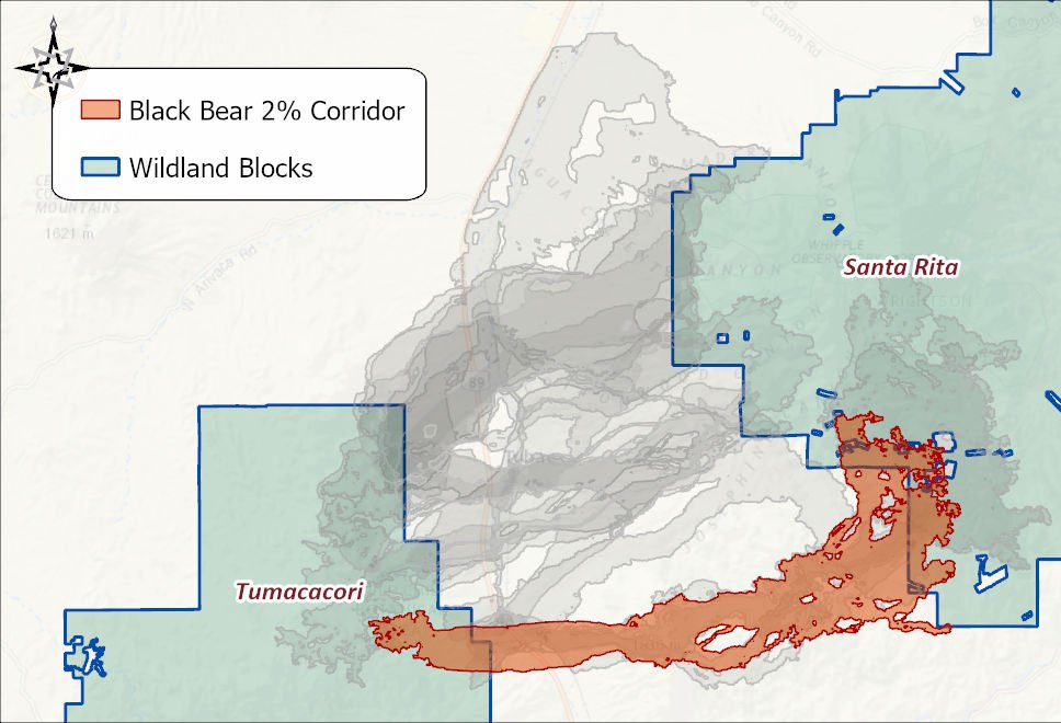 The Black Bear 2 percent corridor in orange between the Tumacacori and Santa Rita wildland blocks, with the other eleven species' corridors in gray behind it