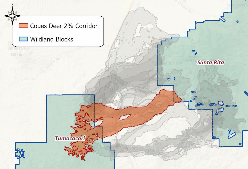 The Coues Deer 2 percent corridor in orange between the Tumacacori and Santa Rita wildland blocks, with the other eleven species' corridors in gray behind it