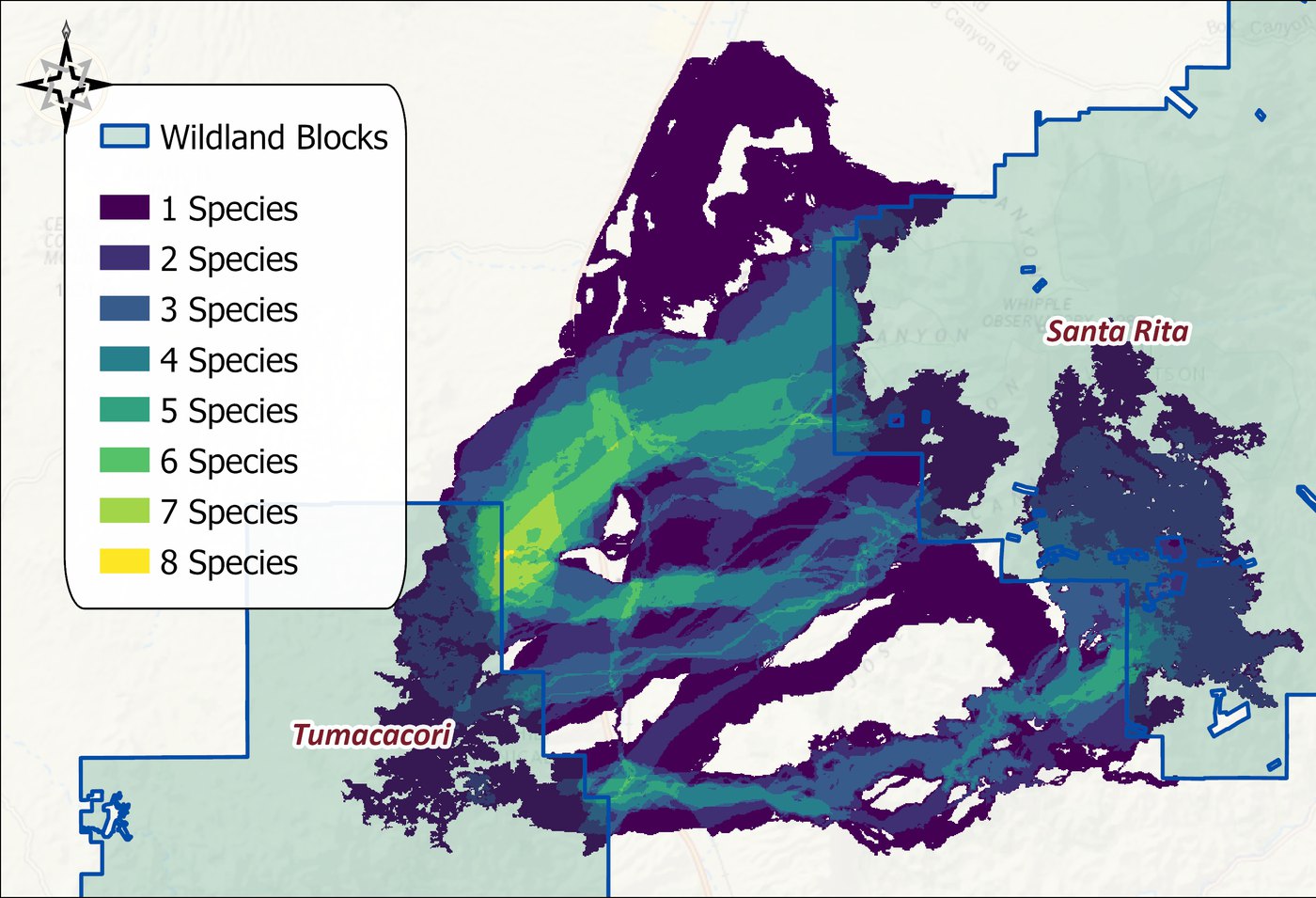 The cumulative surface between the wildland blocks, from dark purple for one species to yellow for eight, with a bright band of high agreement running northeast from the Tumacacori block