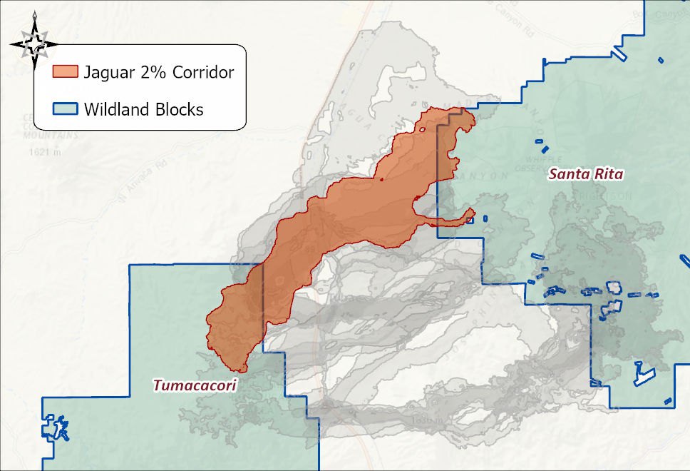 The Jaguar 2 percent corridor in orange between the Tumacacori and Santa Rita wildland blocks, with the other eleven species' corridors in gray behind it