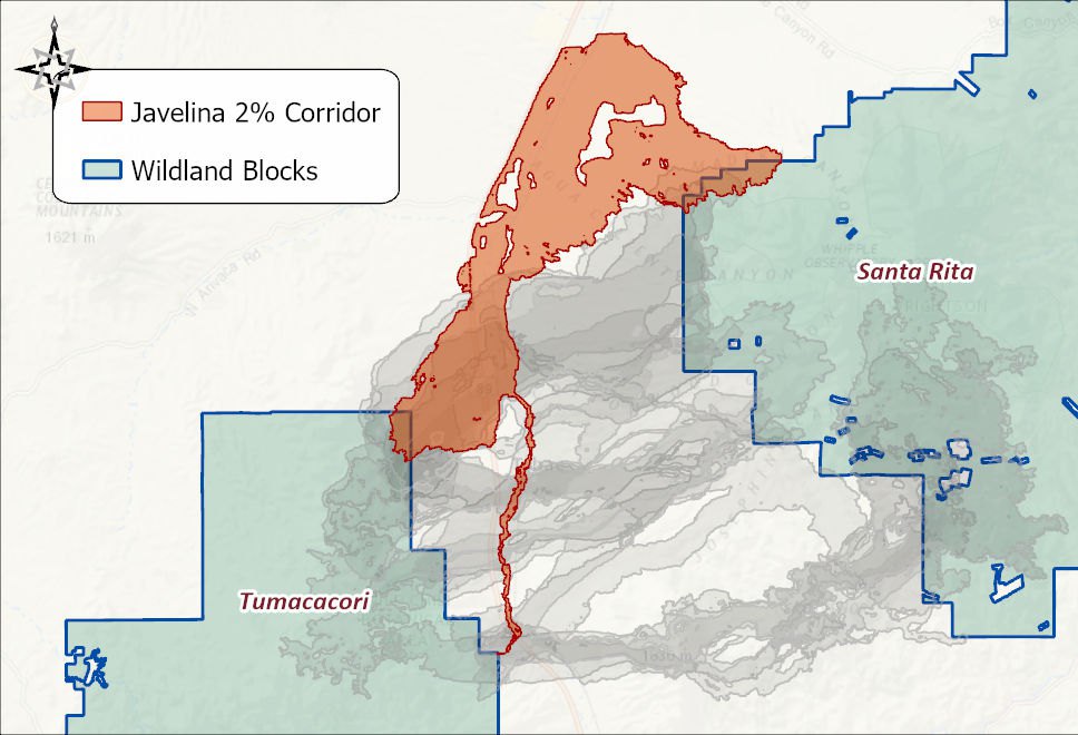 The Javelina 2 percent corridor in orange between the Tumacacori and Santa Rita wildland blocks, with the other eleven species' corridors in gray behind it