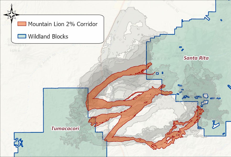 The Mountain Lion 2 percent corridor in orange between the Tumacacori and Santa Rita wildland blocks, with the other eleven species' corridors in gray behind it