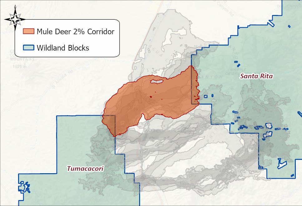 The Mule Deer 2 percent corridor in orange between the Tumacacori and Santa Rita wildland blocks, with the other eleven species' corridors in gray behind it