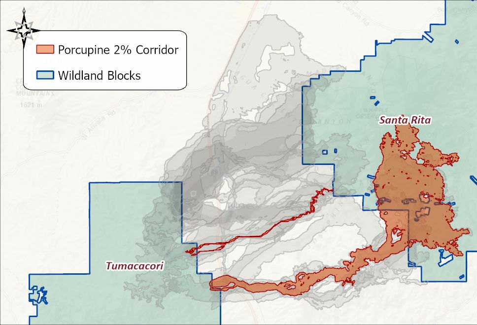 The Porcupine 2 percent corridor in orange between the Tumacacori and Santa Rita wildland blocks, with the other eleven species' corridors in gray behind it