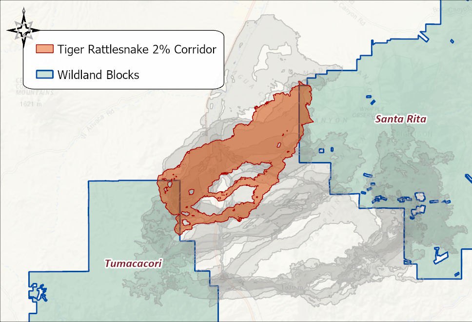 The Tiger Rattlesnake 2 percent corridor in orange between the Tumacacori and Santa Rita wildland blocks, with the other eleven species' corridors in gray behind it