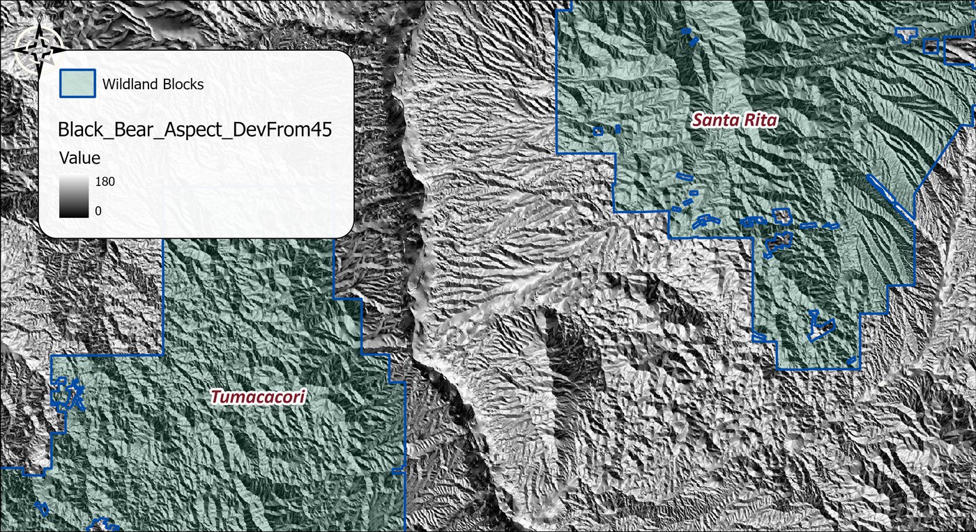 A grayscale raster named Black_Bear_Aspect_DevFrom45 over the two wildland blocks, with values from 0 in black to 180 in white, so that slopes facing northeast are dark and slopes facing southwest are bright, giving a fine-grained relief-like texture across the mountains