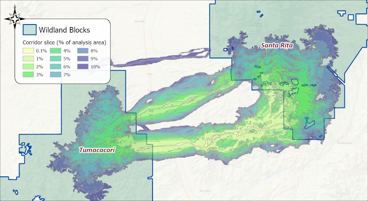 The nested corridor slices between the Tumacacori and Santa Rita wildland blocks: a pale yellow 0.1 percent spine running through the middle, widening through greens to a purple 10 percent swath, with a second, narrower strand looping to the north