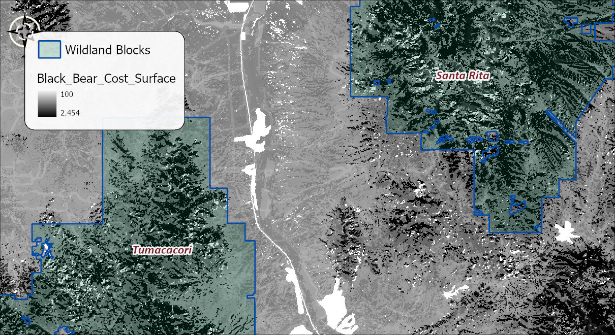 The black bear cost surface in gray tones, the wooded uplands of both blocks dark (cheap to cross) and the interstate corridor and the town bright white (the most expensive), with the wildland blocks outlined in blue