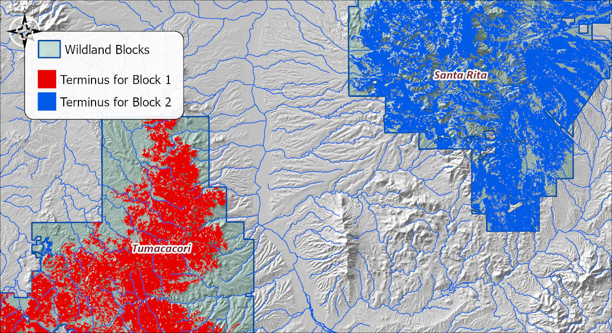 The termini over a hillshade: one large red terminus filling the good habitat of the Tumacacori block and one large blue terminus filling the Santa Rita block, with no small fragments