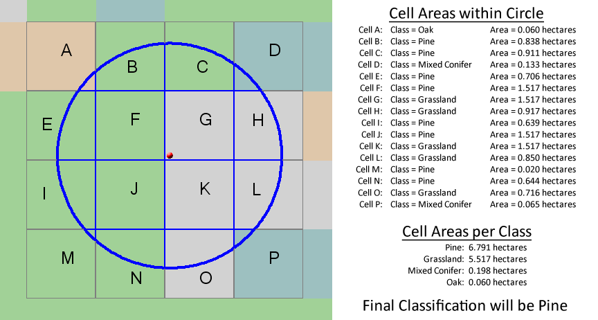The same sample point with a circular neighborhood: summing the cell areas within the circle by class, Pine covers 6.791 hectares against Grassland's 5.517, so the point is classified as Pine