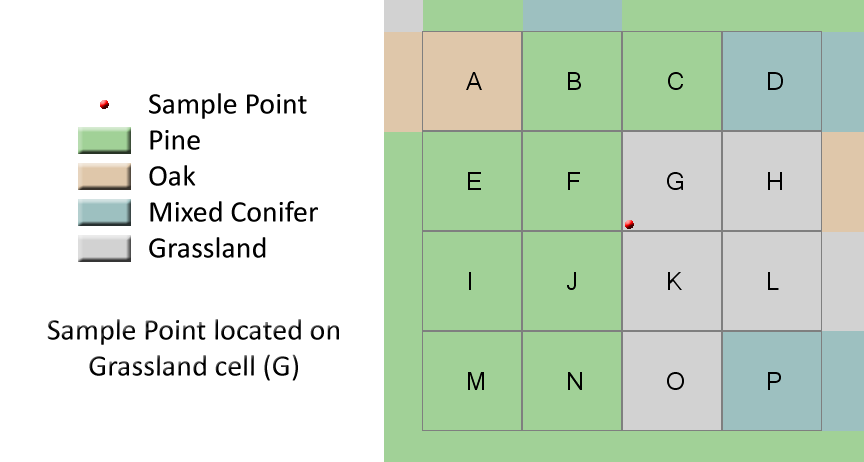 A sample point on a classified grid, landing on Grassland cell G among Pine, Oak and Mixed Conifer cells