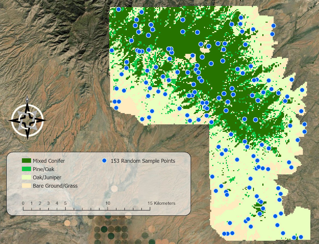 A map of the classified Pinalenos landscape with 153 random sample points distributed proportionally across the four vegetation categories