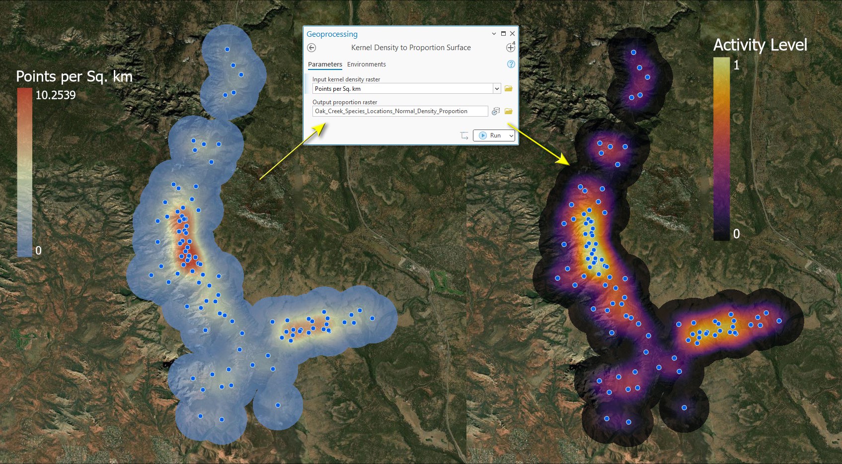 A before-and-after pair with the two-parameter geoprocessing pane between them: on the left the raw kernel density surface legended Points per Sq. km from 0 to 10.25, on the right the same surface converted to a proportion raster legended Activity Level from 0 to 1 on the dark-purple-to-yellow ramp