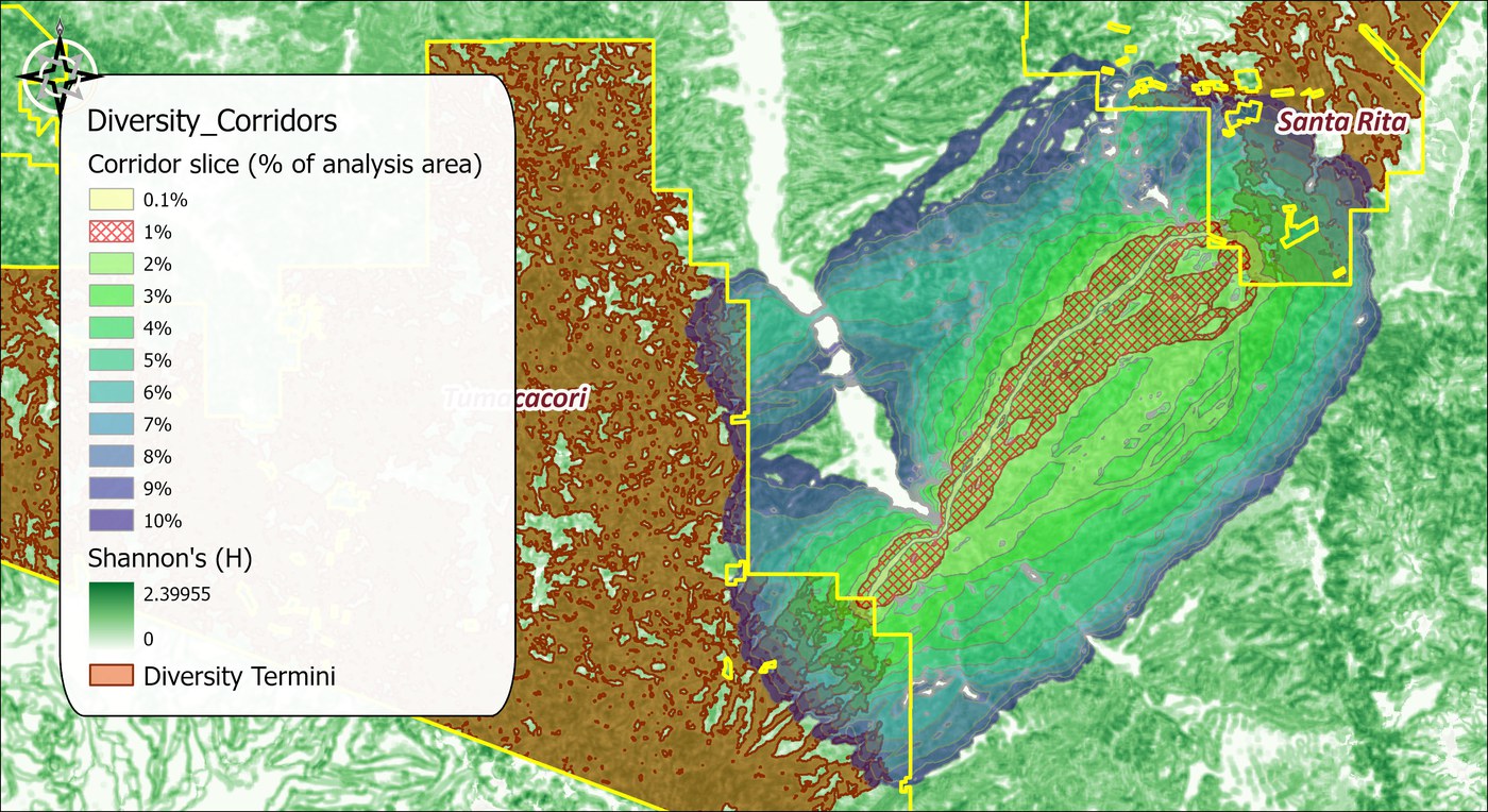 The interspersion corridor between the two wildland blocks over the diversity surface: nested slices from 0.1 to 10 percent, the 1 percent slice cross-hatched in red running from the eastern edge of the Tumacacori block northeast to the southern part of the Santa Rita block, crossing the Santa Cruz valley floor at its narrowest, with the diversity termini in brown filling the blocks