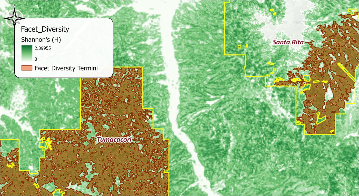 The diversity termini over the Shannon diversity surface: one large brown terminus polygon filling most of the Tumacacori block and another filling the southern half of the Santa Rita block, each riddled with small holes where diversity falls below the block median, with the wildland blocks outlined in yellow