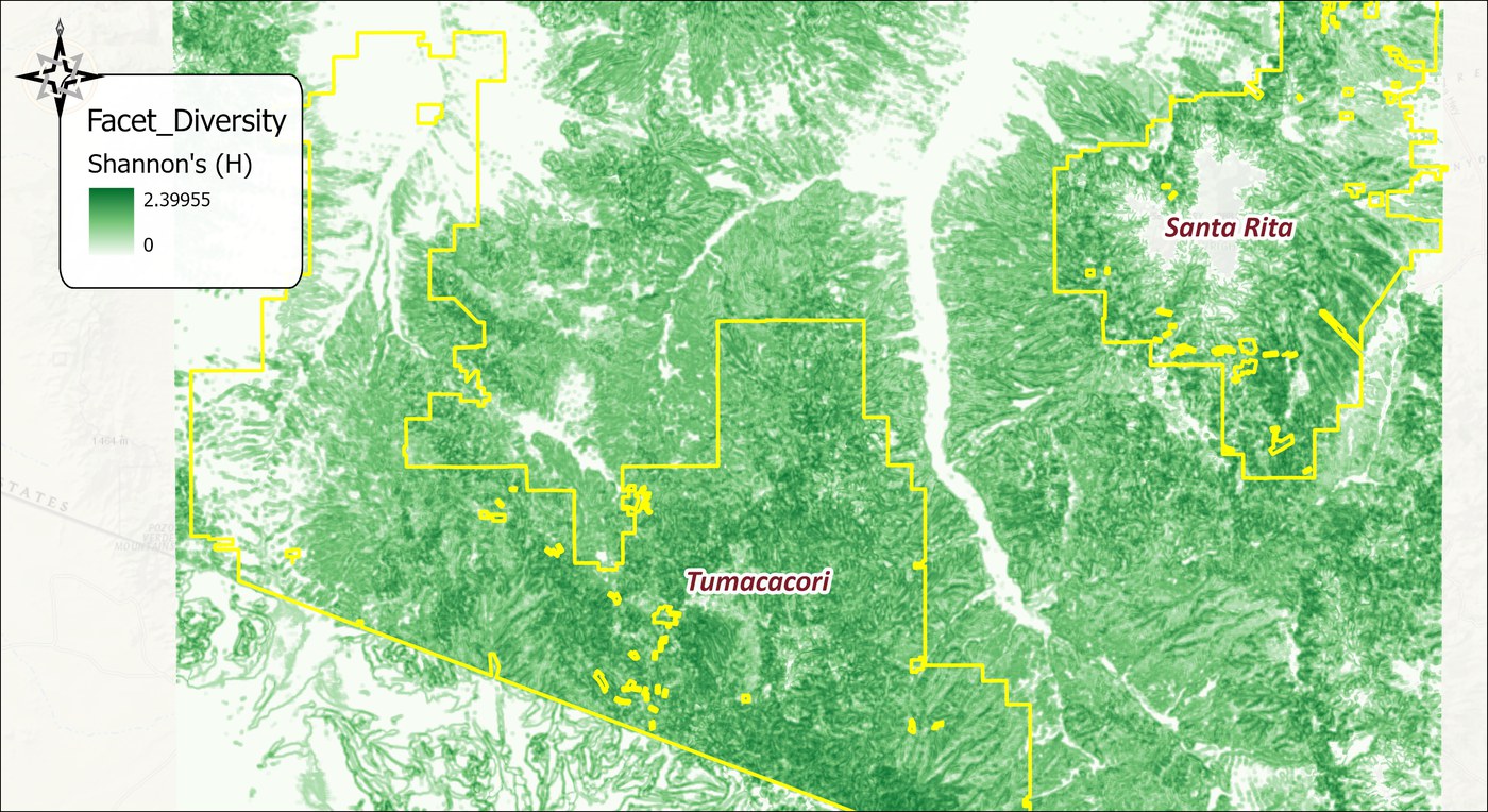Shannon diversity of land facets over the study area as a white-to-green ramp from 0 to 2.4: dark green where many facets interleave along the dissected hills and mountain fronts, white on the uniform valley floor, and a gray NoData hole at the high Santa Rita summit where the outlier cells were excluded, with the wildland blocks outlined in yellow