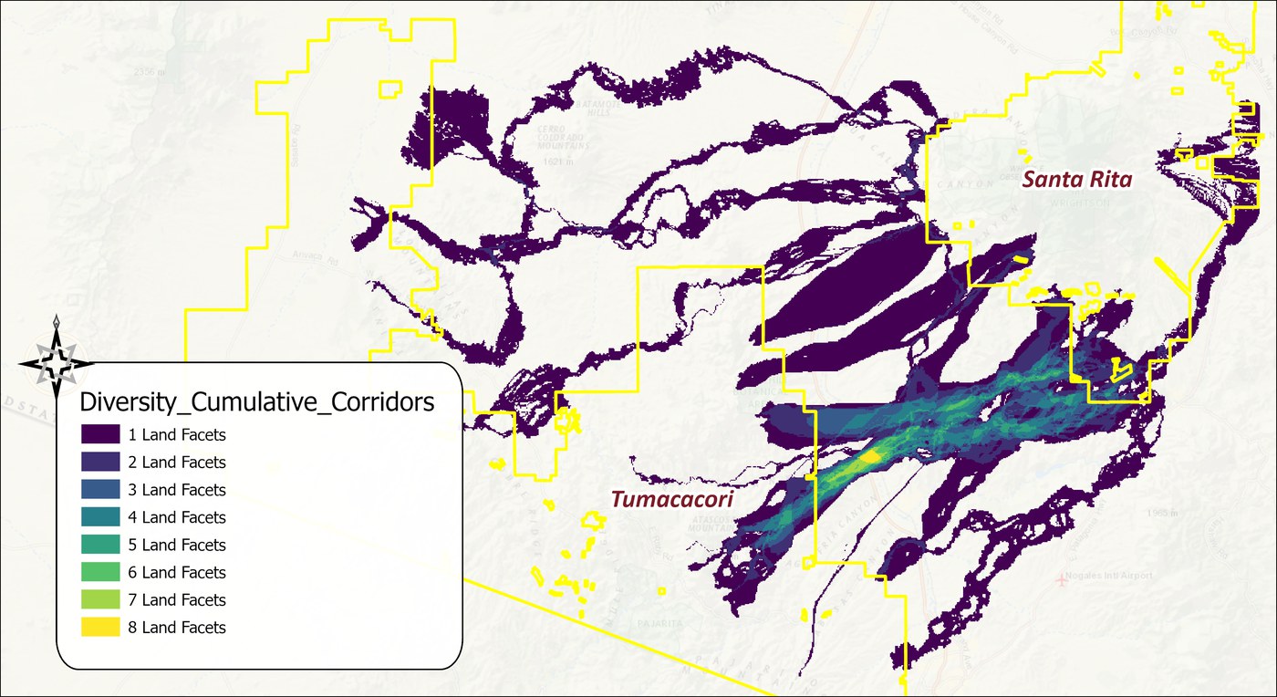 The cumulative surface of the nineteen strands over a topographic base, from dark purple where one land facet strand covers a cell through blue and green to yellow where eight overlap: most of the sprawling design is a single strand, and the overlap concentrates in one band running from the Tumacacori block northeast across the Santa Cruz valley toward the Santa Rita block, with the wildland blocks outlined in yellow