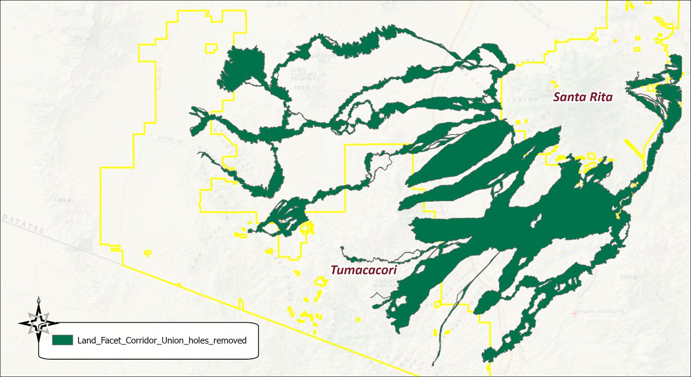 The linkage design after filling, in dark green: the same sprawl of strands with the small holes and slivers closed, only the larger openings kept, with the wildland blocks outlined in yellow