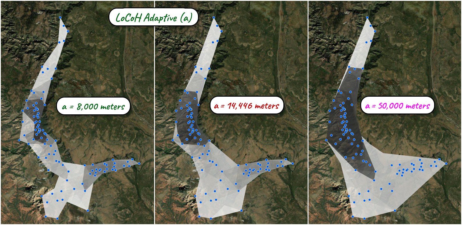 Three aerial panels of the canyon species locations under Adaptive LoCoH at budgets of 8,000, 14,446 and 50,000 meters: a tight canyon-following range, a smoother connected range, and a broad nearly convex range
