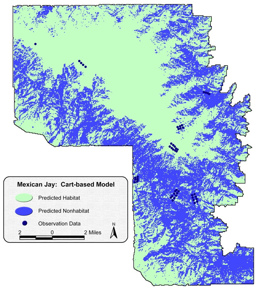 The classification-tree (CART) Mexican Jay habitat model over the same study area and observation points