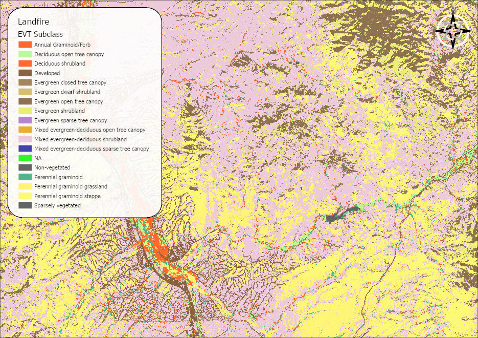 The Landfire EVT subclass map of the study area, a mosaic of vegetation categories including several evergreen tree canopy classes, shrubland, and grassland types