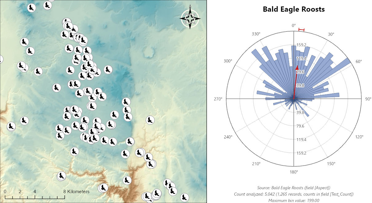 A layout: on the left, a shaded-relief map with bald eagle roost locations as white circles holding eagle symbols, a scale bar of 0 to 8 kilometers and a compass rose; on the right, a Circular Bins plot titled Bald Eagle Roosts, its wedges longest from the northwest round to the east, with a red mean-direction arrow a few degrees east of north, a short red confidence arc at the rim, ring-value labels 39.8 to 159.2 on the north and south axes, and three lines of secondary titles: source Bald Eagle Roosts (field Aspect), count analyzed 5,042 (1,265 records, counts in field Test_Count), maximum bin value 199.00