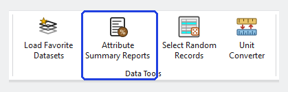 The Data Tools group of the ribbon, with the Attribute Summary Reports button outlined in blue