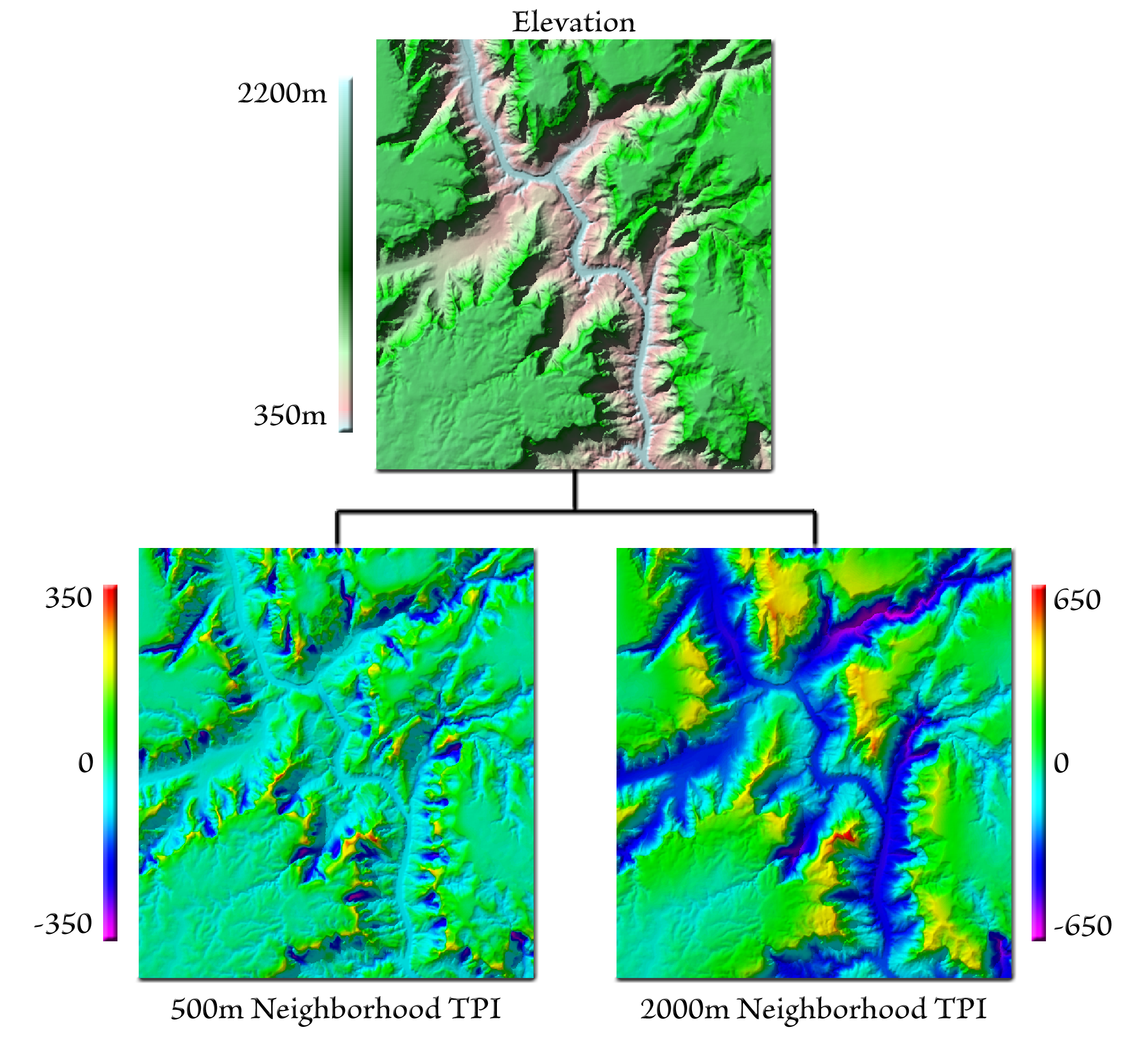An elevation map of a canyon system, and beneath it two topographic position maps of the same area, one computed with a 500-meter neighborhood showing the side canyons and one with a 2000-meter neighborhood showing the main canyon