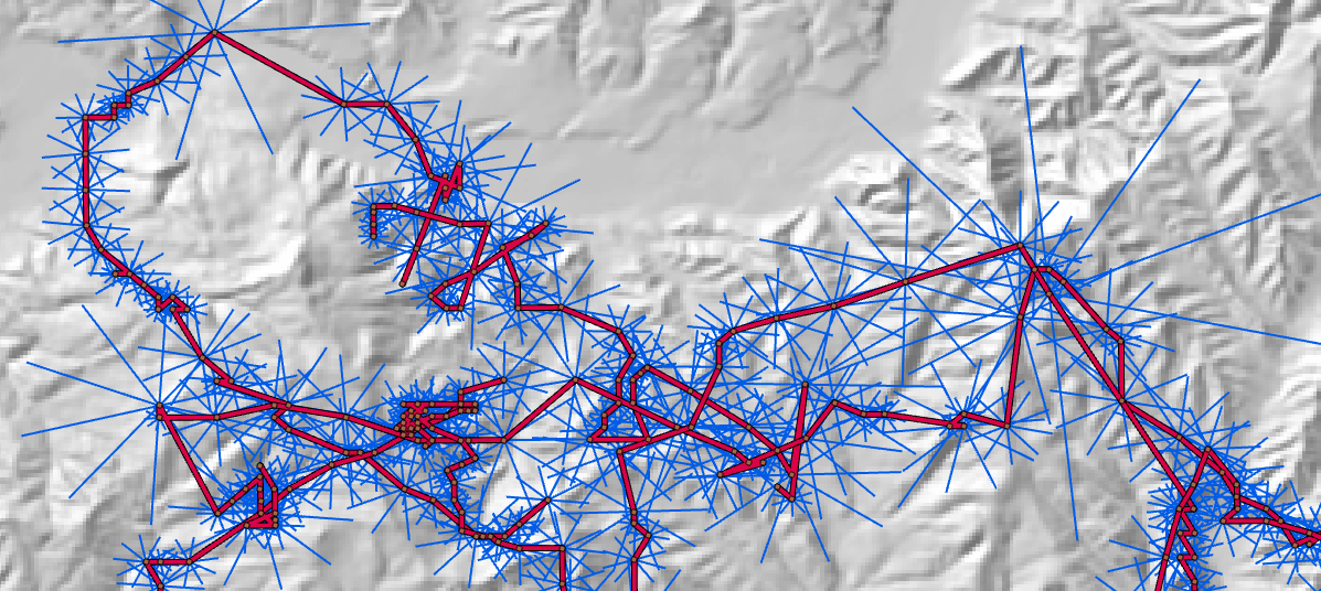 A hillshade with the cougar tracks drawn as red step segments, each step's start point sprouting a fan of ten thin blue alternative steps in evenly spaced directions