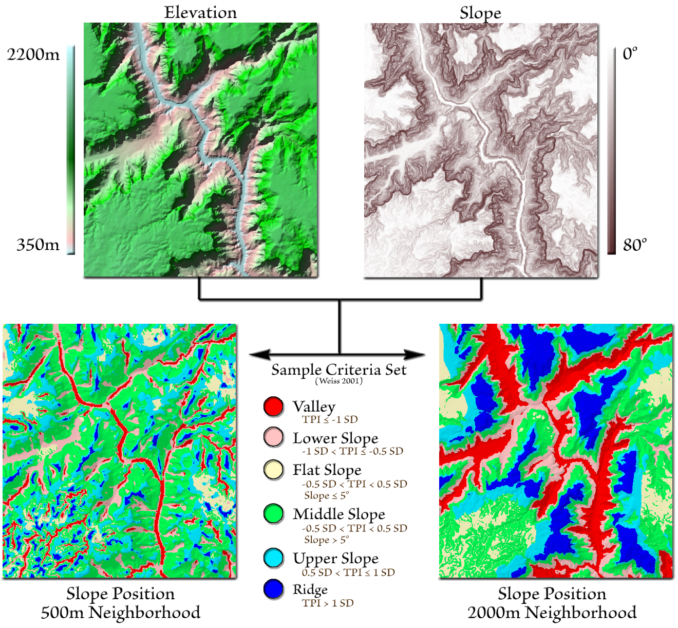 An elevation map and a slope map of a canyon system feeding two slope-position maps through the Weiss six-class criteria: with a 500 meter neighborhood the valleys in red trace every side drainage and the ridges in blue are small and scattered; with a 2000 meter neighborhood the main canyon is a wide red valley and the plateaus are large blue ridges
