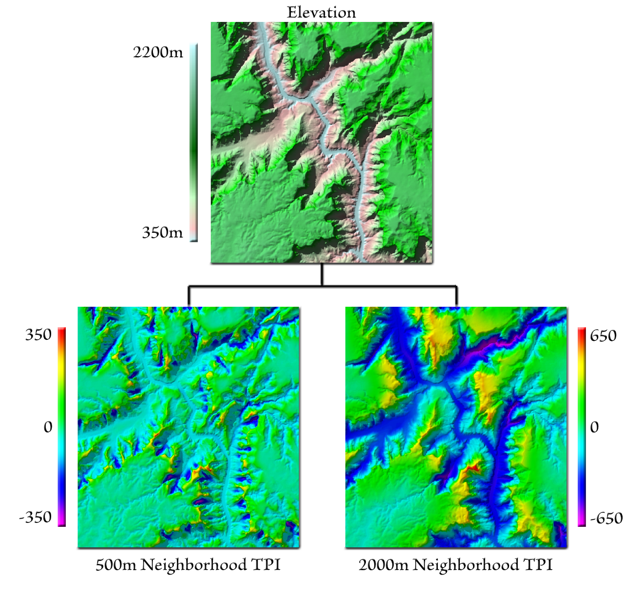 An elevation map of a canyon system, 350 to 2200 meters, and beneath it two TPI maps of the same area: with a 500 meter neighborhood the side drainages and spur ridges stand out in blue and yellow; with a 2000 meter neighborhood the main canyon is a broad blue band and the plateaus around it are yellow