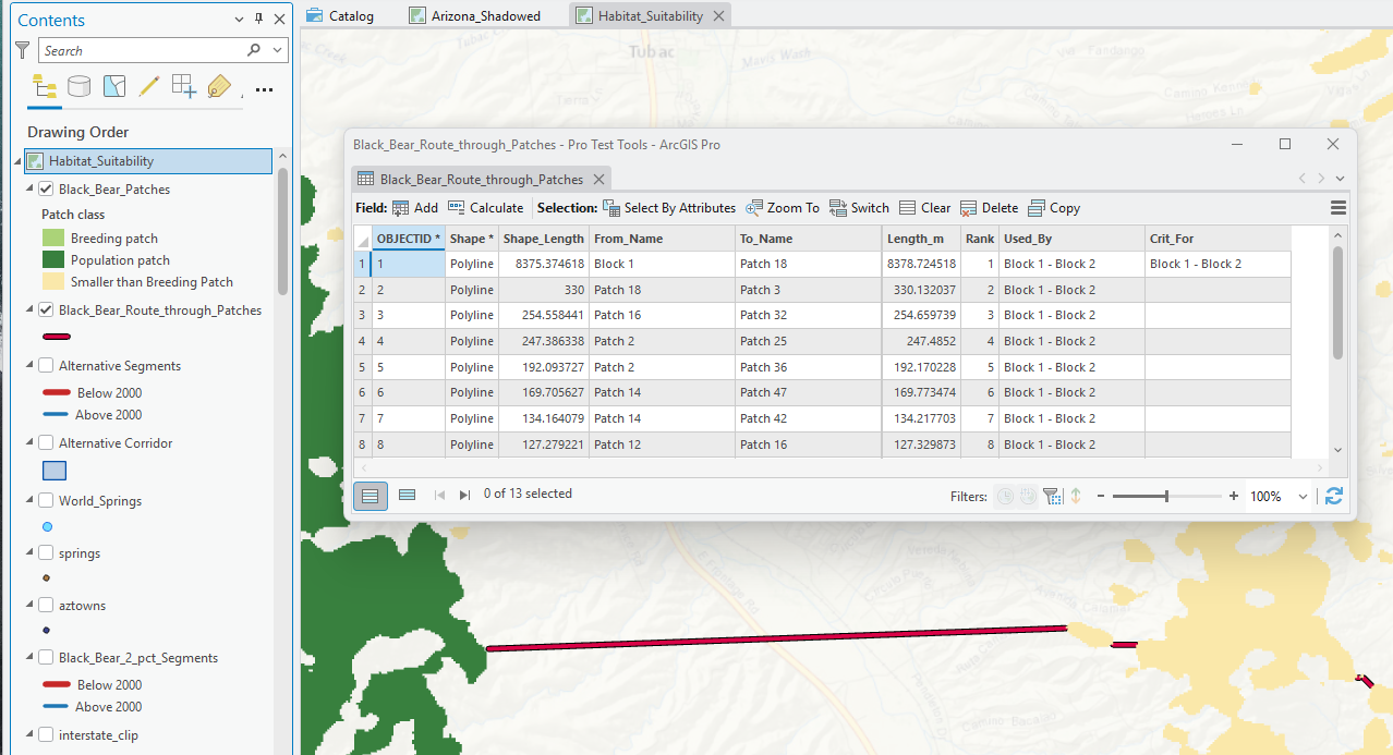 The Contents pane and map of the corridor evaluation project, with the attribute table of Black_Bear_Route_through_Patches open: 13 polyline segments with the fields From_Name, To_Name, Length_m, Rank, Used_By and Crit_For. The first segment, Block 1 to Patch 18, is 8378.724518 meters long; the others run from 330 down to 127 meters. On the map a red route segment crosses pale yellow and dark green patches