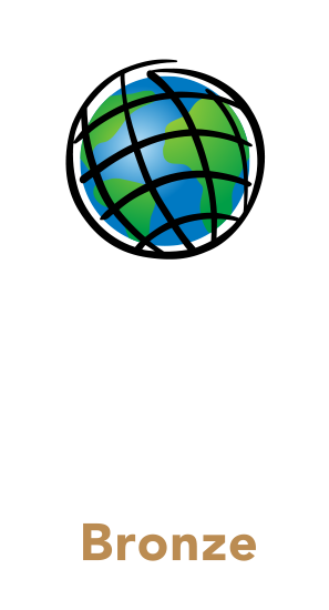 Esri Partner Network Bronze partner emblem